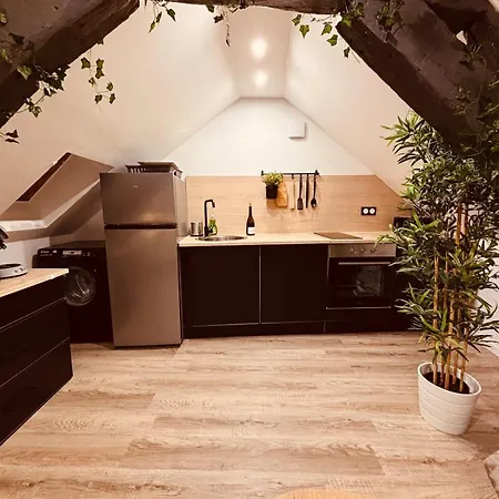 L' Urban Jungle - Evasion En Centre-ville Apartman Rouen